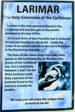 Conch Shell Charm Sterling Silver & Larimar