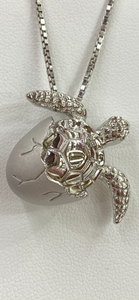 Adorable Shimmering Silver Hatching Baby Turtle