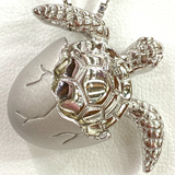 Adorable Shimmering Silver Hatching Baby Turtle